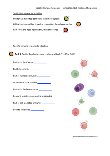 Immune System: T cells, B cells, HIV, Antibodies and Vaccines AQA A-level Biology