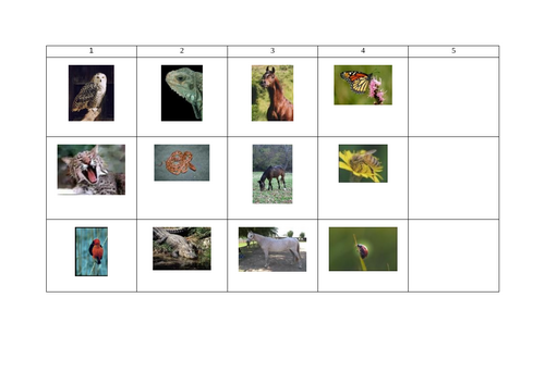 easy odd-one-out puzzles KS1