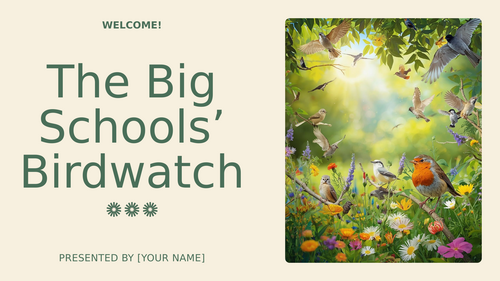 The Big Schools’ Birdwatch Assembly & Resource Pack (KS1 & KS2)