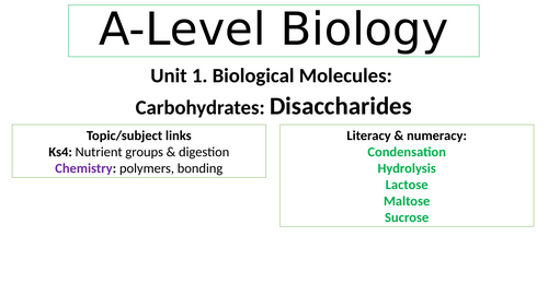 Biological Molecules. Disaccharides