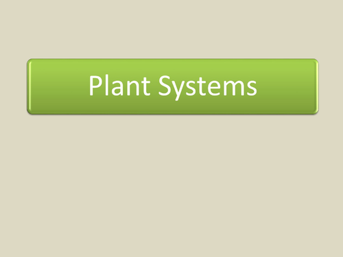 B4.6 Tissues and organs in plants