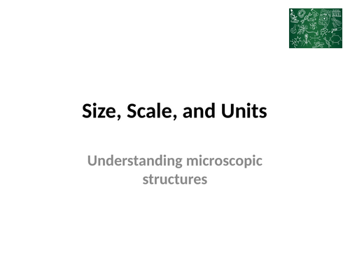 Size, Scale and Units