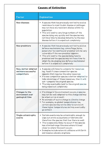 Endangered Animals and Extinction Lesson with worksheets