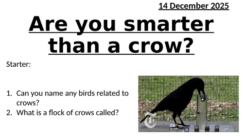 Fun Lesson - Are you smarter than a crow