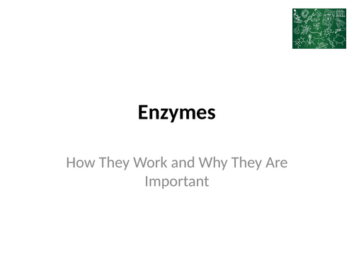 Enzymes –  How They Work and Why They Are Important