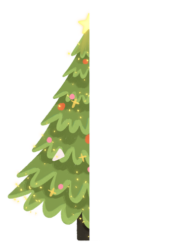 Finish the Christmas pictures