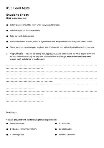 KS3 Food testing