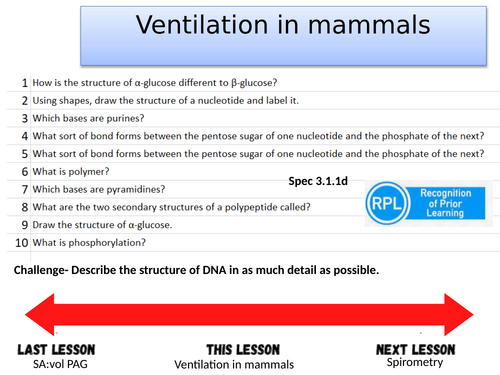 Ventilation in mammals- A-level Biology OCR A (Module 3)