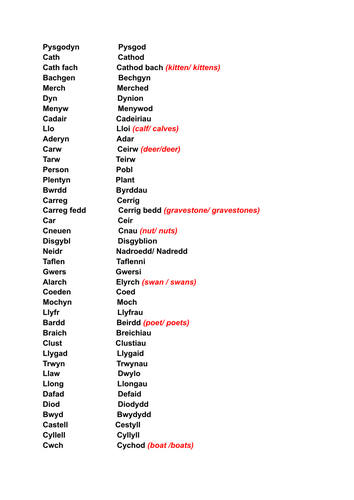 Plural forms in the Welsh Language: Y ffurf  lluosog yn y Gymraeg (2nd language Welsh GCSE)