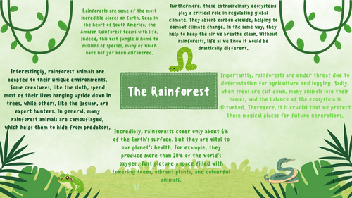 Rainforest Non Chronological report