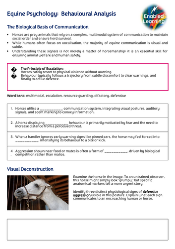 Equine Psychology - Defensive and Aggressive Body Language
