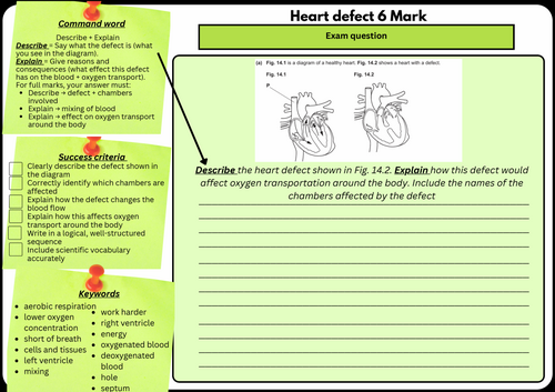 OCR GCSE Biology 6-Mark Question: Heart Defect & Oxygen Transport | Extended Response Worksheet
