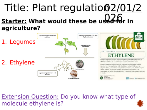 Soil Management & Plant Hormones