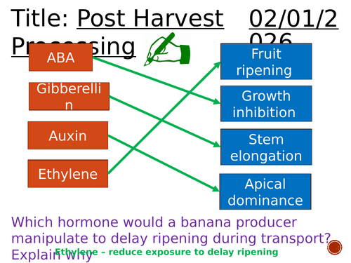 Post harvest processing