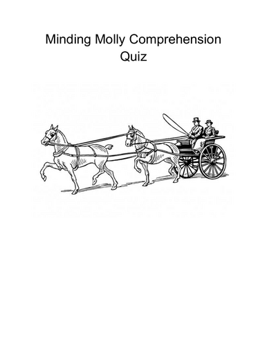 Minding Molly Comprehension Quizzes