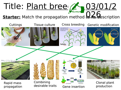 Plant production and breeding