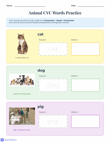 Animal CVC Word Practice (EYFS) | Early Phonics & Writing Resource
