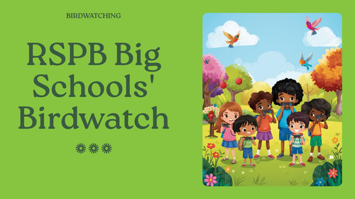 RSPB Big Schools’ Birdwatch Assembly PowerPoint | KS1 & KS2 | Wildlife, Observation & Conservation