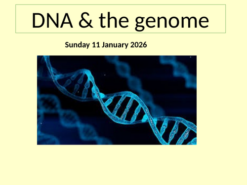 I&V.3 DNA & the genome