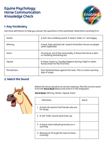 More Detailed 'How Horses Communicate' Lesson