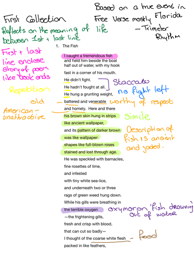 Elizabeth Bishop Poem Annotations