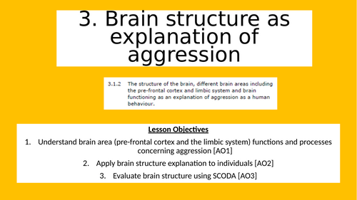 3. Brain structure as explanation of aggression
