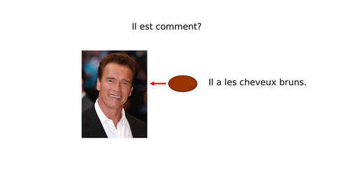 Full lesson physical description hair and eyes French