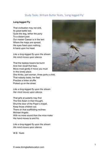 Poetry Study Worksheet: W.B. Yeats, 'Long-legged Fly'