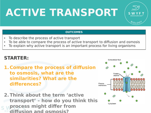 NEW WJEC (2026) GCSE Science - Active Transport