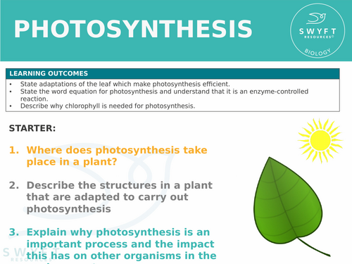 NEW WJEC (2026) GCSE Science - Photosynthesis