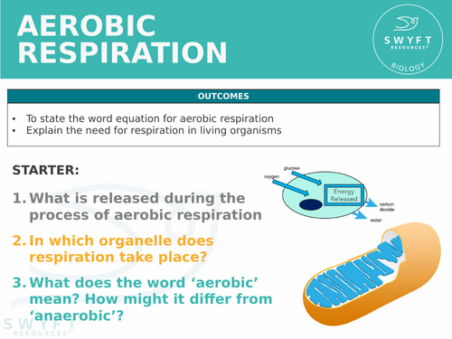 NEW WJEC (2026) GCSE Science - Aerobic respiration