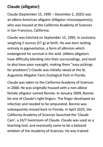 Claude the albino alligator Handout