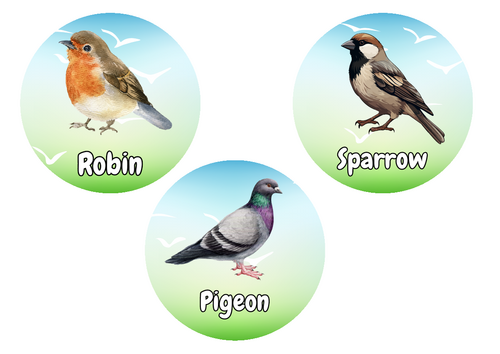 Bird step by step drawing