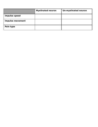 Myelinated and non myelinated neuron comparison worksheet