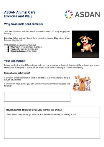 ASDAN Animal Care - Exercising and Playing