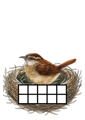 Bird Nest tens frames