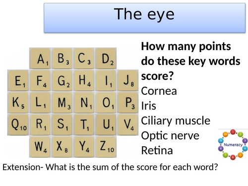 KS3 The eye