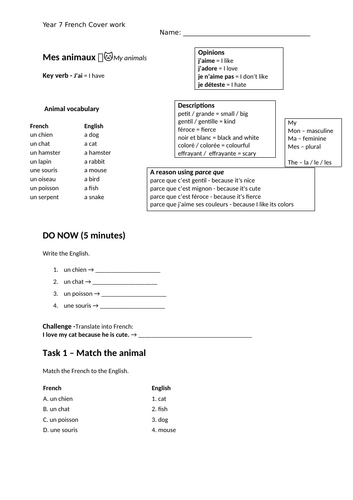 Year 7 French Mes animaux Cover work