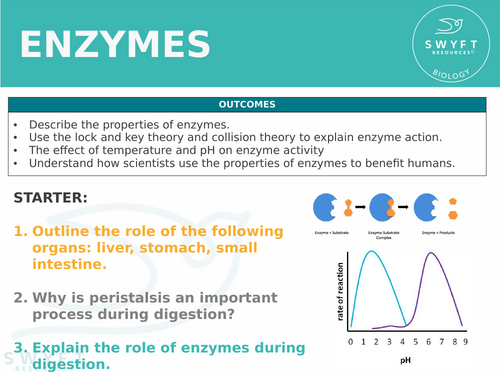 NEW WJEC (2026) GCSE Science - Enzymes