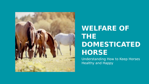 Equine Psychology - Welfare of Domesticated Horses