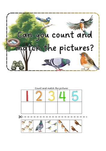 Big Bird Watch - count and match