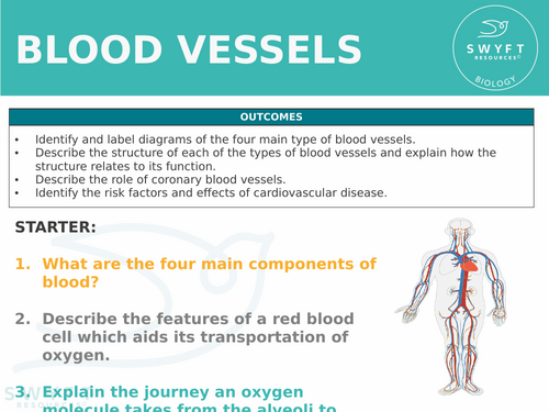 NEW WJEC (2026) GCSE Science - Blood Vessels