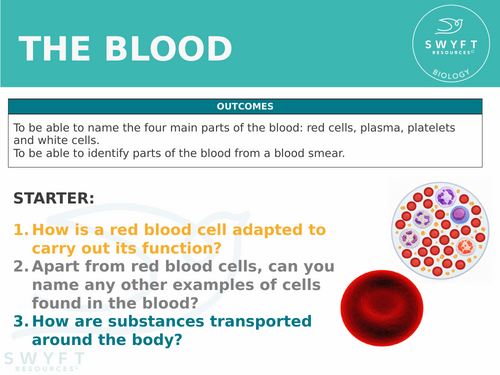 NEW WJEC (2026) GCSE Science - The blood