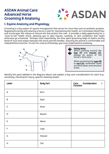 ASDAN Animal Care - Grooming and Anatomy of a Horse