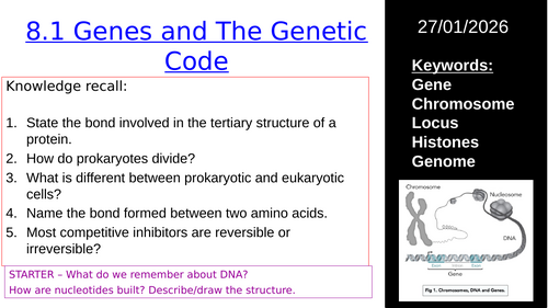 L1 3.4.1 Genes and the genetic code  (AQA A-level Biology)