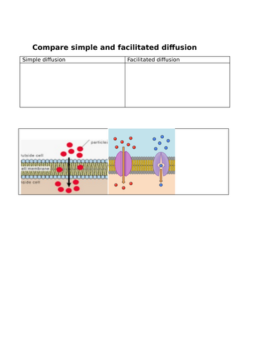 simple and facilitated diffusion