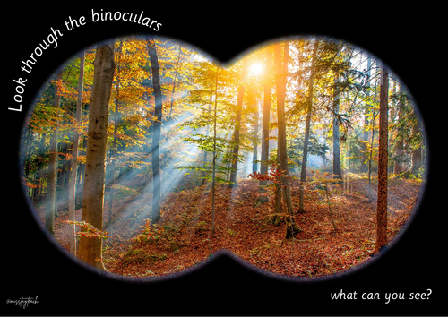 Binocular Writing Activity