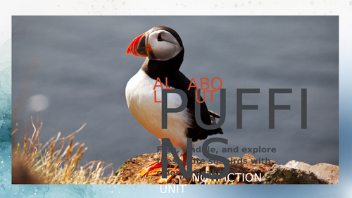 All About Puffin – Nonfiction PowerPoint.