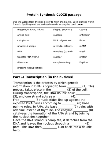 Edexcel IGCSE Biology Protein Synthesis CLOZE worksheet  (with answers)