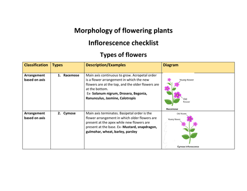 Morphology of flowers -Worksheets